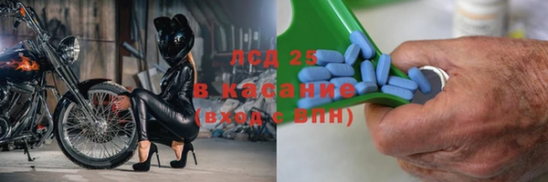 сатива Алексеевка