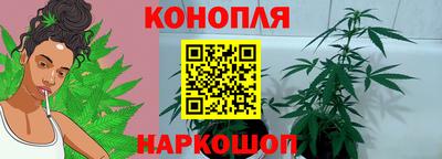 гидропоника Кохма