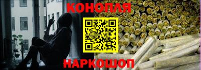 гидропоника Кохма