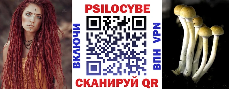 Галлюциногенные грибы GOLDEN TEACHER купить наркотик Апатиты
