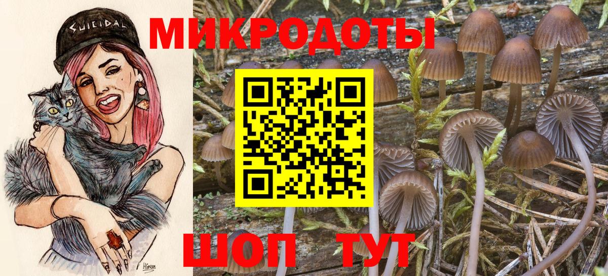 Псилоцибиновые грибы Magic Shrooms  Вход с VPN  Апатиты 